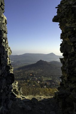 Kasım ayında sessiz bir orman
