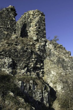 Kasım ayında sessiz bir orman