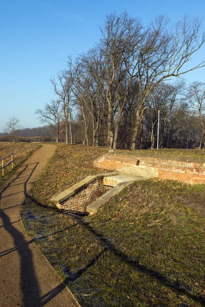 Lente in het park met bomen — Stockfoto