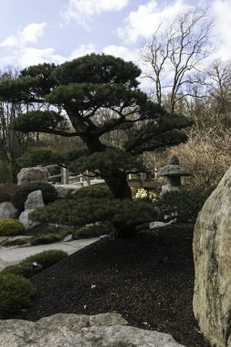 Güzel ağaçlar ile Japon Bahçesi