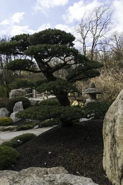 Güzel ağaçlar ile Japon Bahçesi