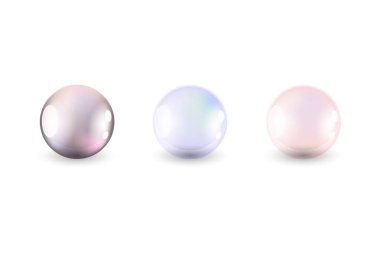 gerçekçi pearls.vector illüstrasyon ile ayarlayın