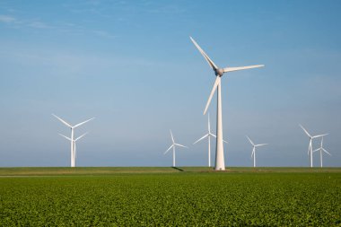 Yel değirmeni parkı Batı Hollanda, rüzgâr değirmeni türbini okyanusta mavi gökyüzü, yeşil enerji