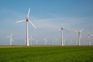 Yel değirmeni parkı Batı Hollanda, rüzgâr değirmeni türbini okyanusta mavi gökyüzü, yeşil enerji