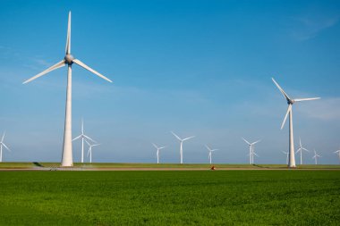 Yel değirmeni parkı Batı Hollanda, rüzgâr değirmeni türbini okyanusta mavi gökyüzü, yeşil enerji