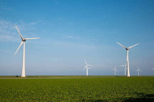 Windmill Park westermeerdijk Netherlands, вітряна турбіна з блакитним небом в океані, зелена енергія — стокове фото