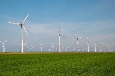Yel değirmeni parkı Batı Hollanda, rüzgâr değirmeni türbini okyanusta mavi gökyüzü, yeşil enerji