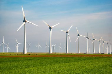 Yel değirmeni parkı Batı Hollanda, rüzgâr değirmeni türbini okyanusta mavi gökyüzü, yeşil enerji