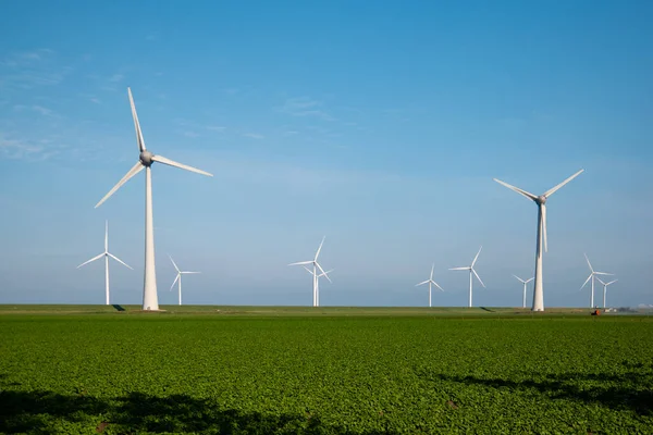 Yel değirmeni parkı Batı Hollanda, rüzgâr değirmeni türbini okyanusta mavi gökyüzü, yeşil enerji