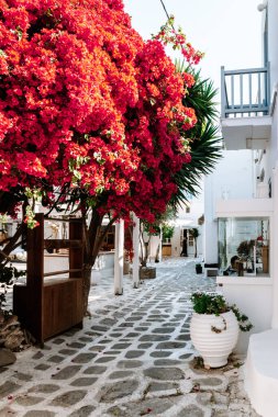 Küçük Venedik Mykonos caddelerinde beyazlatılmış binaları olan Mykonos Yunanistan Adası