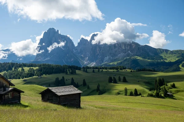 Alpe di Siusi - Seiser Alm con Sassolungo - Langkofel grupo de montaña en el fondo al atardecer. Flores de primavera amarillas y chalets de madera en Dolomites, Trentino Alto Adige, Tirol del Sur, Italia, Europa — Foto de Stock