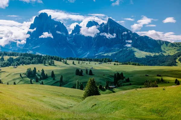 Alpe di Siusi Alpe di Siusi con Sassolungo Gruppo montuoso Langkofel sullo sfondo al tramonto. Fiori gialli primaverili e chalet in legno nelle Dolomiti, Trentino Alto Adige, Alto Adige, Italia, Europa — Foto Stock