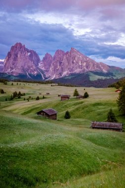 Alpe di Siusi - Seiser Alm ve Sassolungo - Langkofel dağ grubu gün batımında arka planda. Dolomitler, Trentino Alto Adige, Güney Tyrol, İtalya ve Avrupa 'da sarı bahar çiçekleri ve ahşap sürahiler