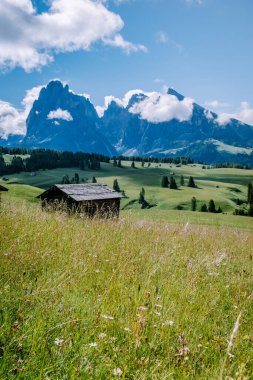 Alpe di Siusi - Seiser Alm ve Sassolungo - Langkofel dağ grubu gün batımında arka planda. Dolomitler, Trentino Alto Adige, Güney Tyrol, İtalya ve Avrupa 'da sarı bahar çiçekleri ve ahşap sürahiler