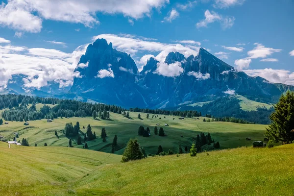 Alpe di Siusi - SassolungoのSeiser Alm -日没時に背景にあるLangkofel山のグループ。ドロマイトの黄色の春の花と木製のシャレー,トレンティーノ・アルト・アディジェ,南チロル,イタリア,ヨーロッパ — ストック写真