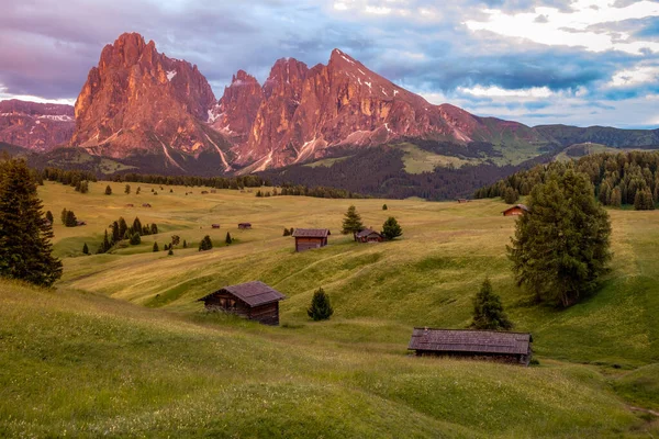 Alpe di Siusi - Seiser Alm s horskou skupinou Sassolungo - Langkofel v pozadí při západu slunce. Žluté jarní květiny a dřevěné chaty v Dolomitech, Trentino Alto Adige, Jižní Tyrolsko, Itálie, Evropa — Stock fotografie