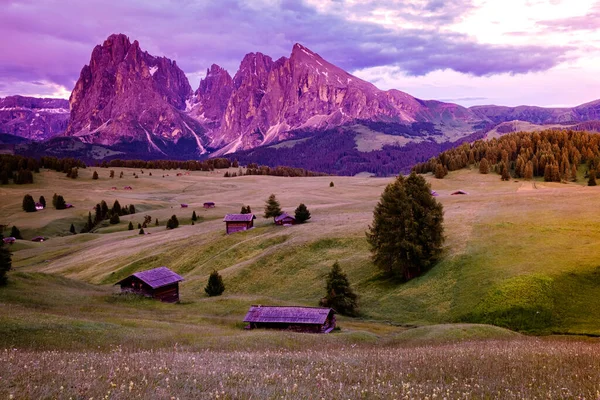 Alpe di Siusi Seiser Alm com Sassolungo Langkofel grupo de montanha no fundo ao pôr do sol. Flores amarelas da primavera e chalés de madeira em Dolomites, Trentino Alto Adige, Sul do Tirol, Itália, Europa — Fotografia de Stock