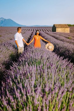 Provence lavanta tarlalarında, Provence, Lavender Field France, Valensole Platosu 'nda renkli Lavanta Platosu, Provence, Güney Fransa' da tatil yapan birkaç erkek ve kadın. Lavanta
