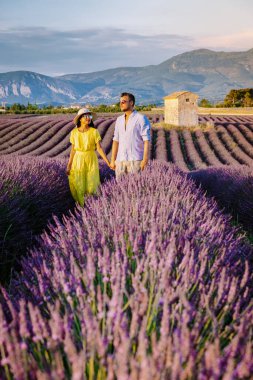 Provence lavanta tarlalarında, Provence, Lavender Field France, Valensole Platosu 'nda renkli Lavanta Platosu, Provence, Güney Fransa' da tatil yapan birkaç erkek ve kadın. Lavanta