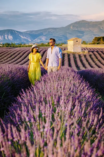 Provence lavanta tarlalarında, Provence, Lavender Field France, Valensole Platosu 'nda renkli Lavanta Platosu, Provence, Güney Fransa' da tatil yapan birkaç erkek ve kadın. Lavanta