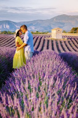 Provence lavanta tarlalarında, Provence, Lavender Field France, Valensole Platosu 'nda renkli Lavanta Platosu, Provence, Güney Fransa' da tatil yapan birkaç erkek ve kadın. Lavanta