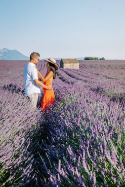 Provence lavanta tarlalarında, Provence, Lavender Field France, Valensole Platosu 'nda renkli Lavanta Platosu, Provence, Güney Fransa' da tatil yapan birkaç erkek ve kadın. Lavanta