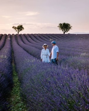 Provence lavanta tarlalarında, Provence, Lavender Field France, Valensole Platosu 'nda renkli Lavanta Platosu, Provence, Güney Fransa' da tatil yapan birkaç erkek ve kadın. Lavanta