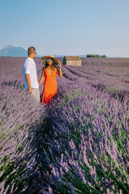 Provence lavanta tarlalarında, Provence, Lavender Field France, Valensole Platosu 'nda renkli Lavanta Platosu, Provence, Güney Fransa' da tatil yapan birkaç erkek ve kadın. Lavanta
