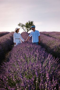 Provence lavanta tarlalarında, Provence, Lavender Field France, Valensole Platosu 'nda renkli Lavanta Platosu, Provence, Güney Fransa' da tatil yapan birkaç erkek ve kadın. Lavanta