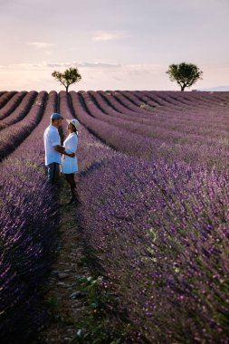 Provence lavanta tarlalarında, Provence, Lavender Field France, Valensole Platosu 'nda renkli Lavanta Platosu, Provence, Güney Fransa' da tatil yapan birkaç erkek ve kadın. Lavanta