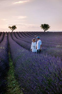 Provence lavanta tarlalarında, Provence, Lavender Field France, Valensole Platosu 'nda renkli Lavanta Platosu, Provence, Güney Fransa' da tatil yapan birkaç erkek ve kadın. Lavanta