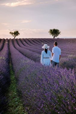 Provence lavanta tarlalarında, Provence, Lavender Field France, Valensole Platosu 'nda renkli Lavanta Platosu, Provence, Güney Fransa' da tatil yapan birkaç erkek ve kadın. Lavanta