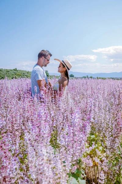 Provence lavanta tarlalarında, Provence, Lavender Field France, Valensole Platosu 'nda renkli Lavanta Platosu, Provence, Güney Fransa' da tatil yapan birkaç erkek ve kadın. Lavanta — Stok fotoğraf