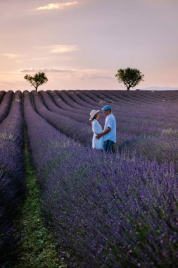 Provence lavanta tarlalarında, Provence, Lavender Field France, Valensole Platosu 'nda renkli Lavanta Platosu, Provence, Güney Fransa' da tatil yapan birkaç erkek ve kadın. Lavanta