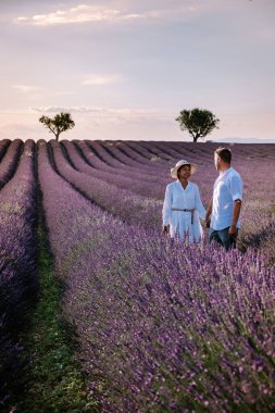 Provence lavanta tarlalarında, Provence, Lavender Field France, Valensole Platosu 'nda renkli Lavanta Platosu, Provence, Güney Fransa' da tatil yapan birkaç erkek ve kadın. Lavanta