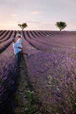 Provence lavanta tarlalarında, Provence, Lavender Field France, Valensole Platosu 'nda renkli Lavanta Platosu, Provence, Güney Fransa' da tatil yapan birkaç erkek ve kadın. Lavanta