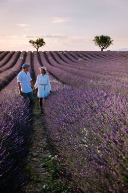 Provence lavanta tarlalarında, Provence, Lavender Field France, Valensole Platosu 'nda renkli Lavanta Platosu, Provence, Güney Fransa' da tatil yapan birkaç erkek ve kadın. Lavanta