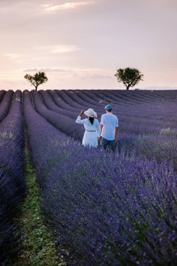 Provence lavanta tarlalarında, Provence, Lavender Field France, Valensole Platosu 'nda renkli Lavanta Platosu, Provence, Güney Fransa' da tatil yapan birkaç erkek ve kadın. Lavanta