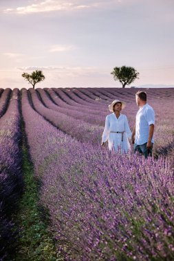 Provence lavanta tarlalarında, Provence, Lavender Field France, Valensole Platosu 'nda renkli Lavanta Platosu, Provence, Güney Fransa' da tatil yapan birkaç erkek ve kadın. Lavanta