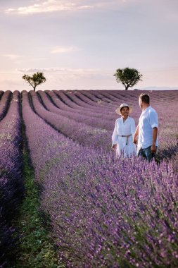 Provence lavanta tarlalarında, Provence, Lavender Field France, Valensole Platosu 'nda renkli Lavanta Platosu, Provence, Güney Fransa' da tatil yapan birkaç erkek ve kadın. Lavanta