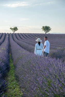 Provence lavanta tarlalarında, Provence, Lavender Field France, Valensole Platosu 'nda renkli Lavanta Platosu, Provence, Güney Fransa' da tatil yapan birkaç erkek ve kadın. Lavanta