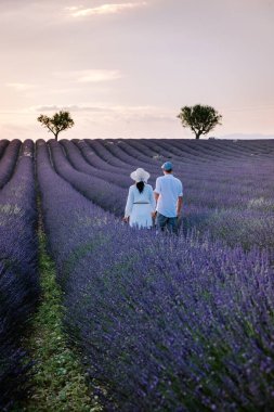 Provence lavanta tarlalarında, Provence, Lavender Field France, Valensole Platosu 'nda renkli Lavanta Platosu, Provence, Güney Fransa' da tatil yapan birkaç erkek ve kadın. Lavanta