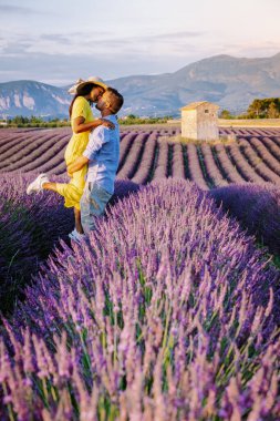 Provence lavanta tarlalarında, Provence, Lavender Field France, Valensole Platosu 'nda renkli Lavanta Platosu, Provence, Güney Fransa' da tatil yapan birkaç erkek ve kadın. Lavanta