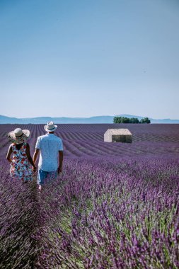 Provence lavanta tarlalarında, Provence, Lavender Field France, Valensole Platosu 'nda renkli Lavanta Platosu, Provence, Güney Fransa' da tatil yapan birkaç erkek ve kadın. Lavanta