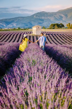 Provence lavanta tarlalarında, Provence, Lavender Field France, Valensole Platosu 'nda renkli Lavanta Platosu, Provence, Güney Fransa' da tatil yapan birkaç erkek ve kadın. Lavanta