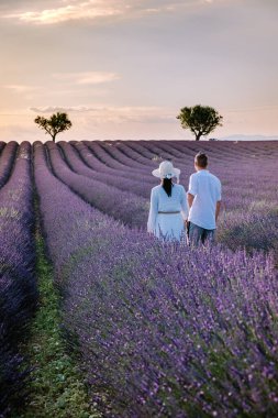 Provence lavanta tarlalarında, Provence, Lavender Field France, Valensole Platosu 'nda renkli Lavanta Platosu, Provence, Güney Fransa' da tatil yapan birkaç erkek ve kadın. Lavanta