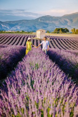 Provence lavanta tarlalarında, Provence, Lavender Field France, Valensole Platosu 'nda renkli Lavanta Platosu, Provence, Güney Fransa' da tatil yapan birkaç erkek ve kadın. Lavanta