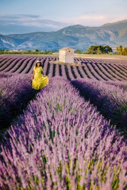 Provence lavanta tarlalarında tatil yapan bir kadın, Provence, Lavanta tarlası Fransa, Valensole Platosu, renkli Lavanta Platosu, Provence, Güney Fransa. Lavanta tarlası