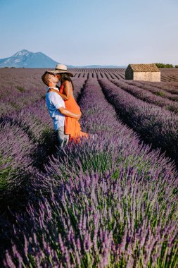 Provence lavanta tarlalarında, Provence, Lavender Field France, Valensole Platosu 'nda renkli Lavanta Platosu, Provence, Güney Fransa' da tatil yapan birkaç erkek ve kadın. Lavanta