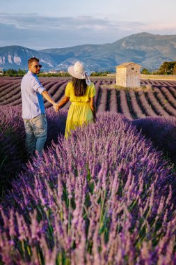 Provence lavanta tarlalarında, Provence, Lavender Field France, Valensole Platosu 'nda renkli Lavanta Platosu, Provence, Güney Fransa' da tatil yapan birkaç erkek ve kadın. Lavanta